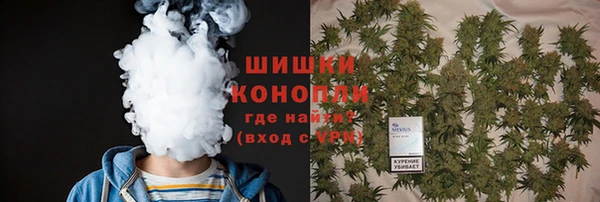 МДПВ Нея