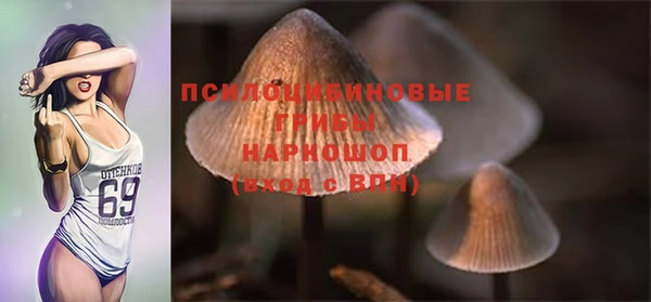 мескалин Нефтекумск
