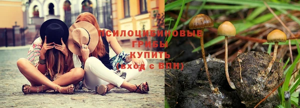 мескалин Нефтекумск