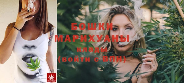 МДПВ Нея