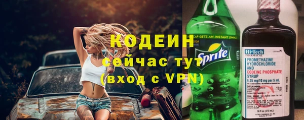 МДПВ Нея