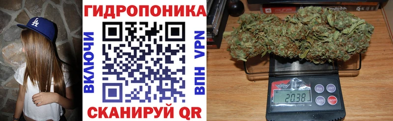 Бошки Шишки THC 21%  Починок 